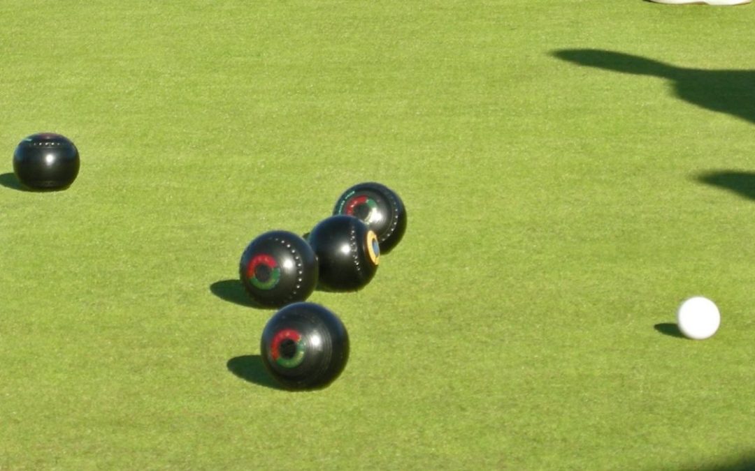 Synthetic Lawn Balls Surfaces